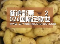 产品展示标题6