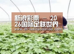 种植基地三