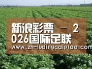 种植基地五