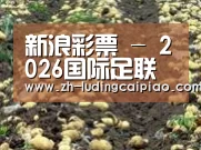 种植基地八(图1)