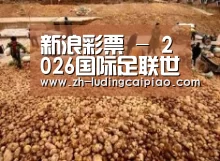 种植基地二