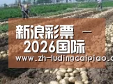 种植基地八