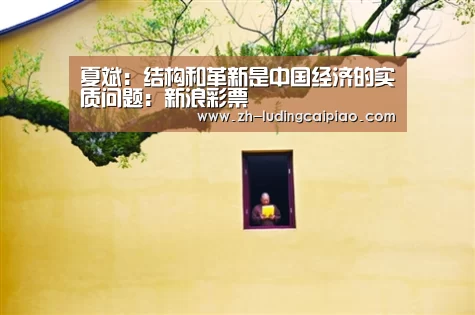 夏斌:结构和革新是中国经济的实质问题:新浪彩票(图1) 新浪彩票