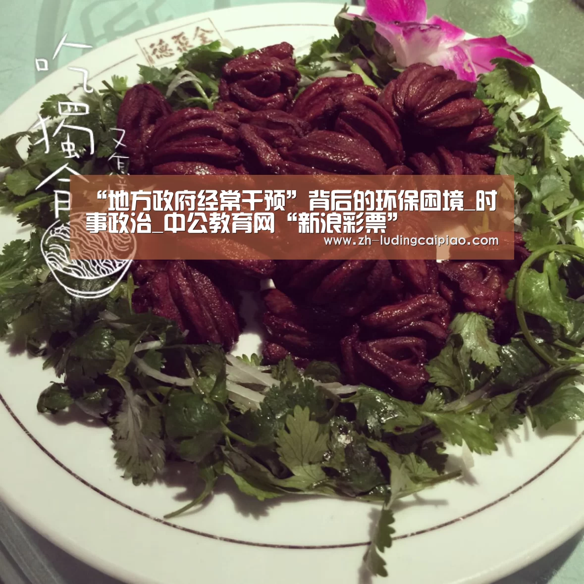“地方政府经常干预”背后的环保困境_时事政治_中公教育网“新浪彩票”(图2) 新浪彩票